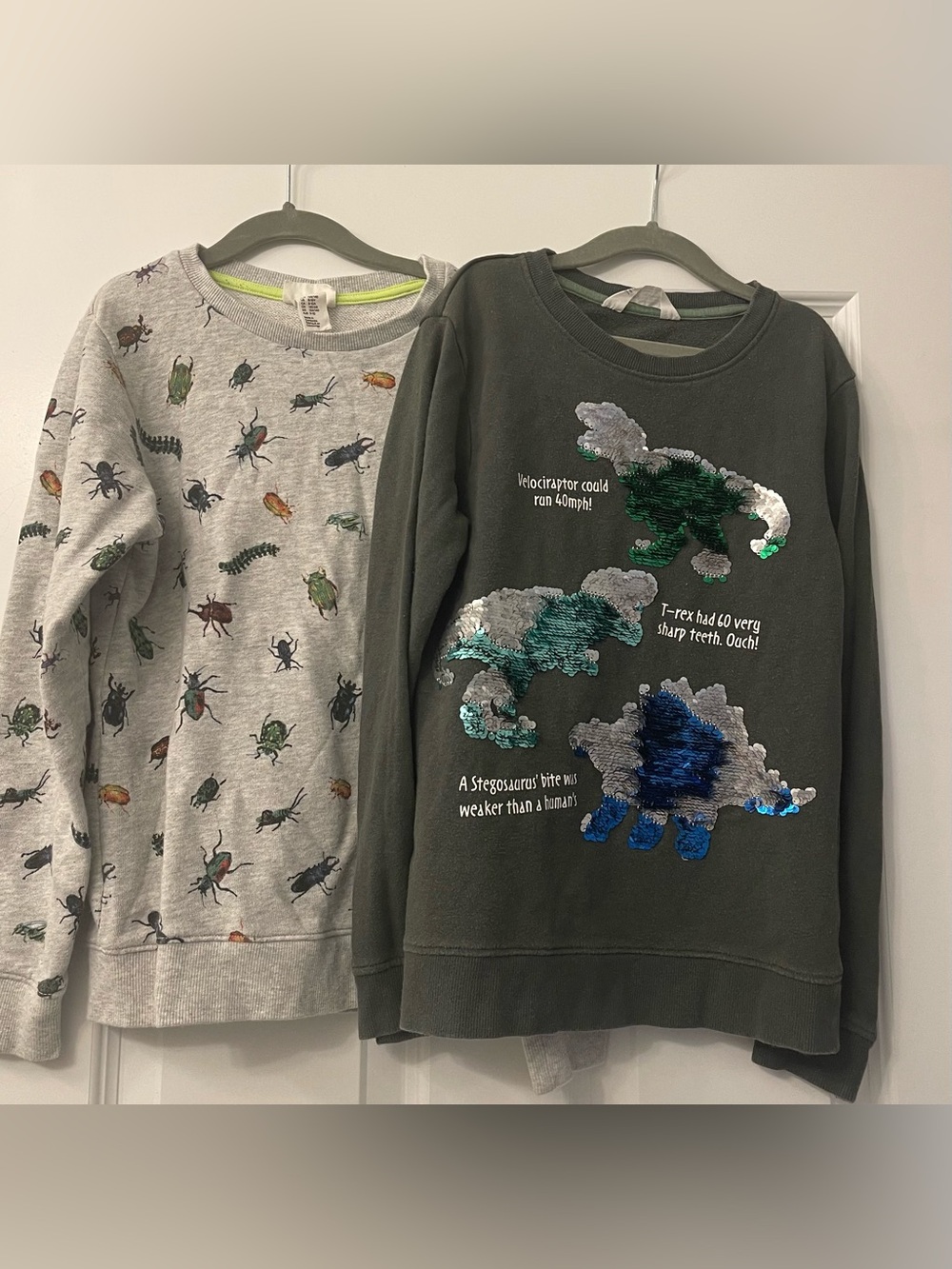 Two sweatshirts - insects and flip-sequin dinosaurs - size 8/10